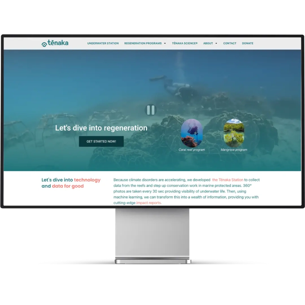 Projet refonte site internet - Tenaka org - agence web beez media